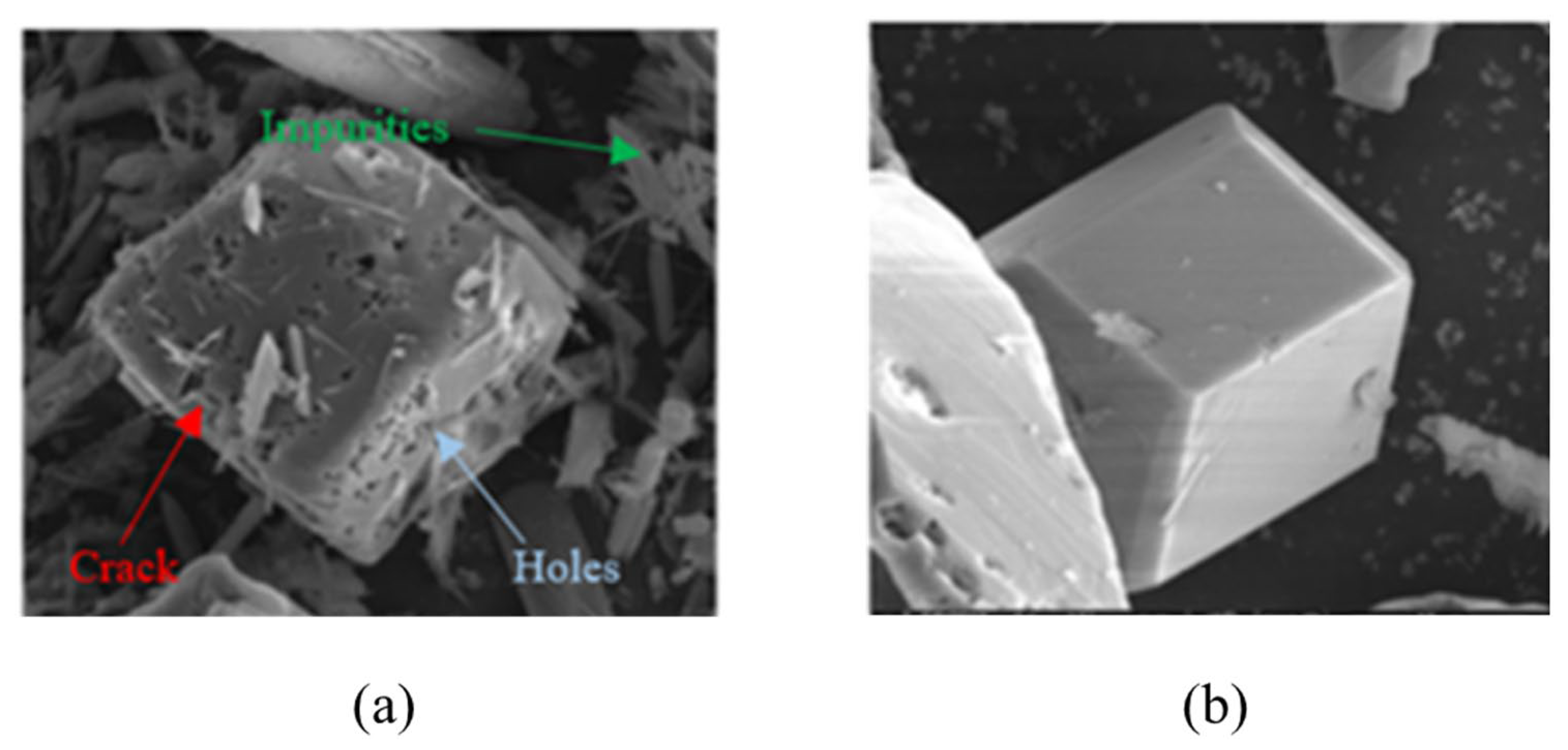 Compounds 04 00012 g010