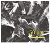 Compounds 04 00012 i004
