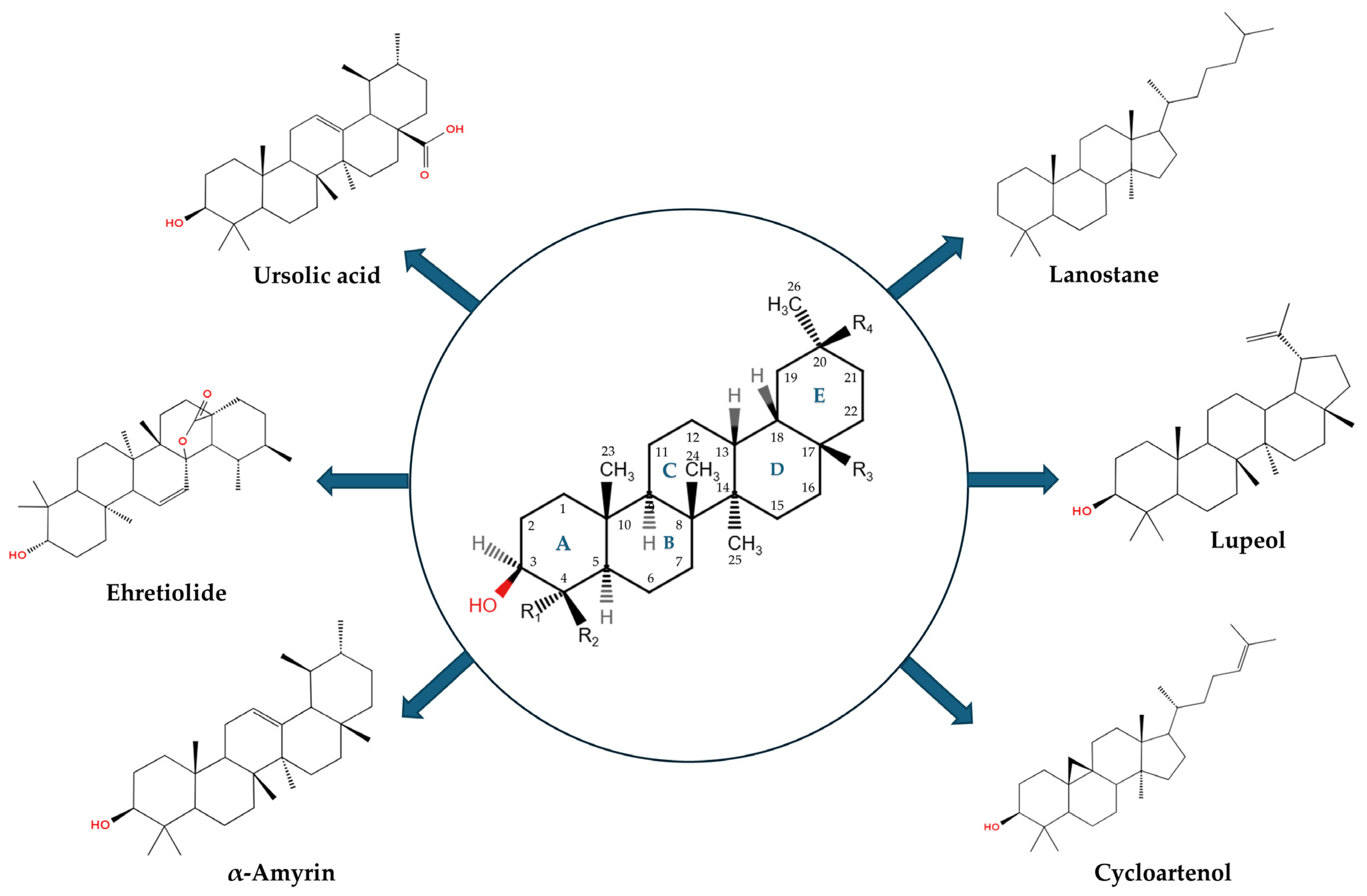 Compounds 05 00002 g001