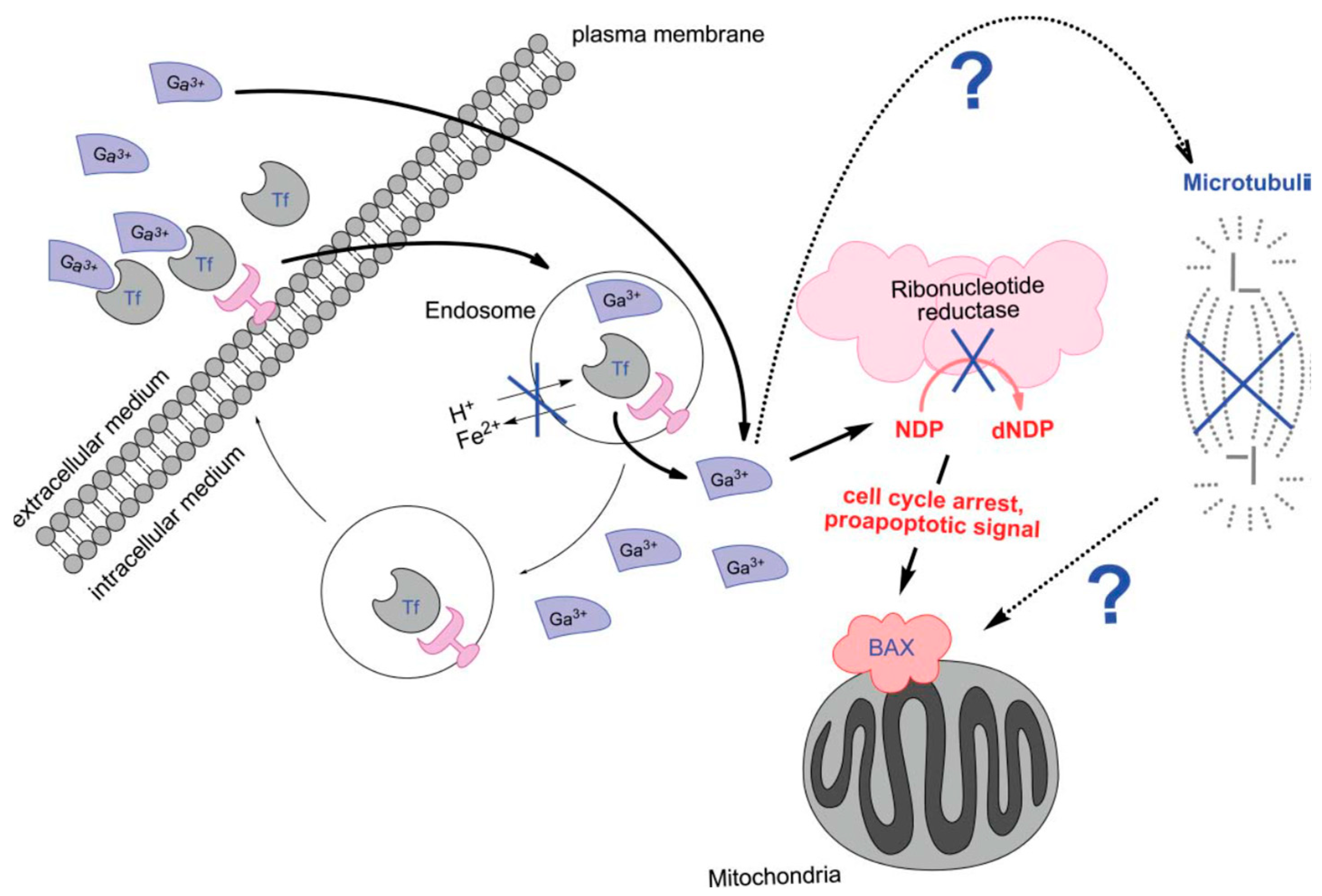 Compounds 05 00014 g023