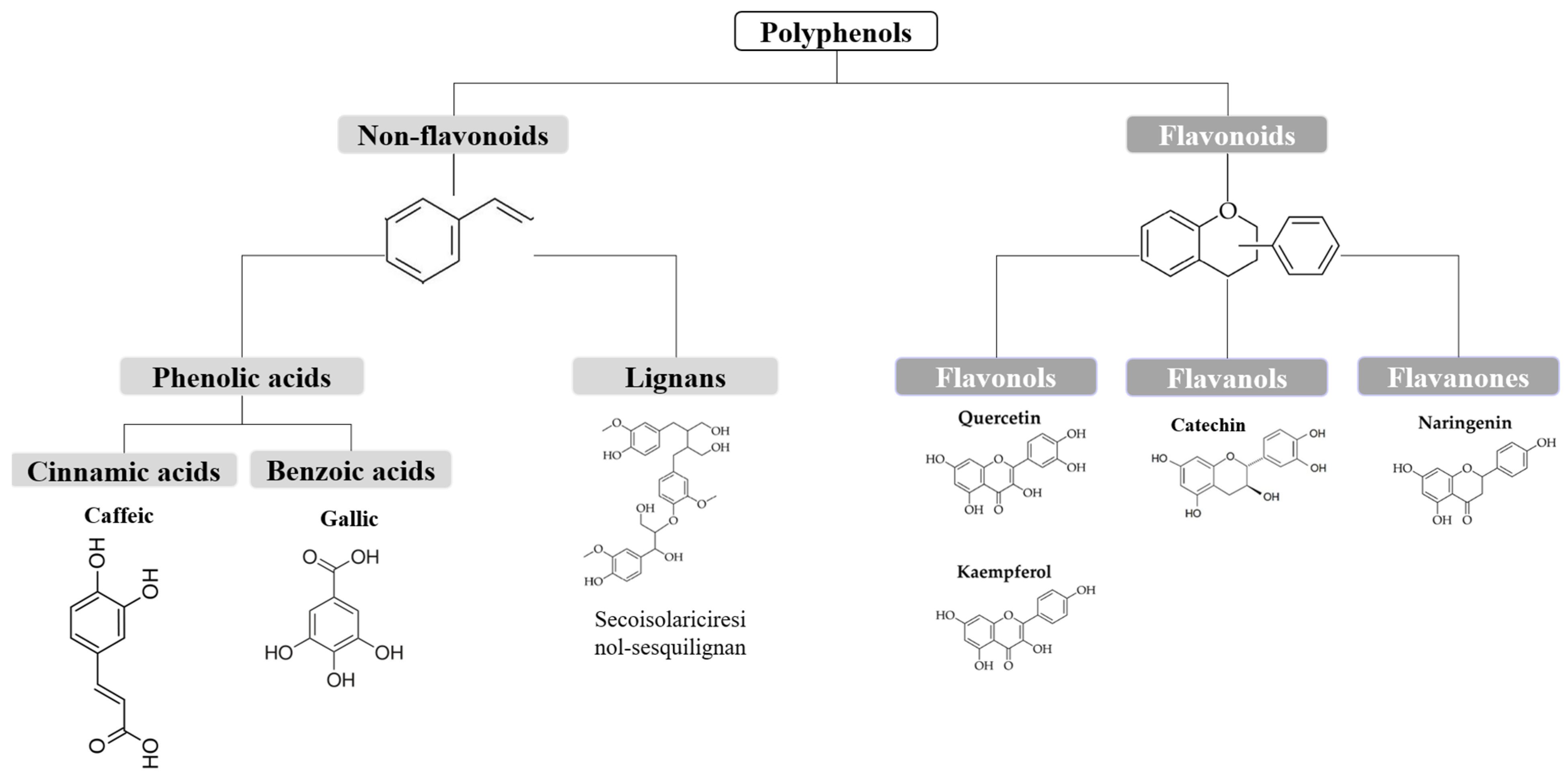 Compounds 05 00029 g002 Compounds 05 00029 g002