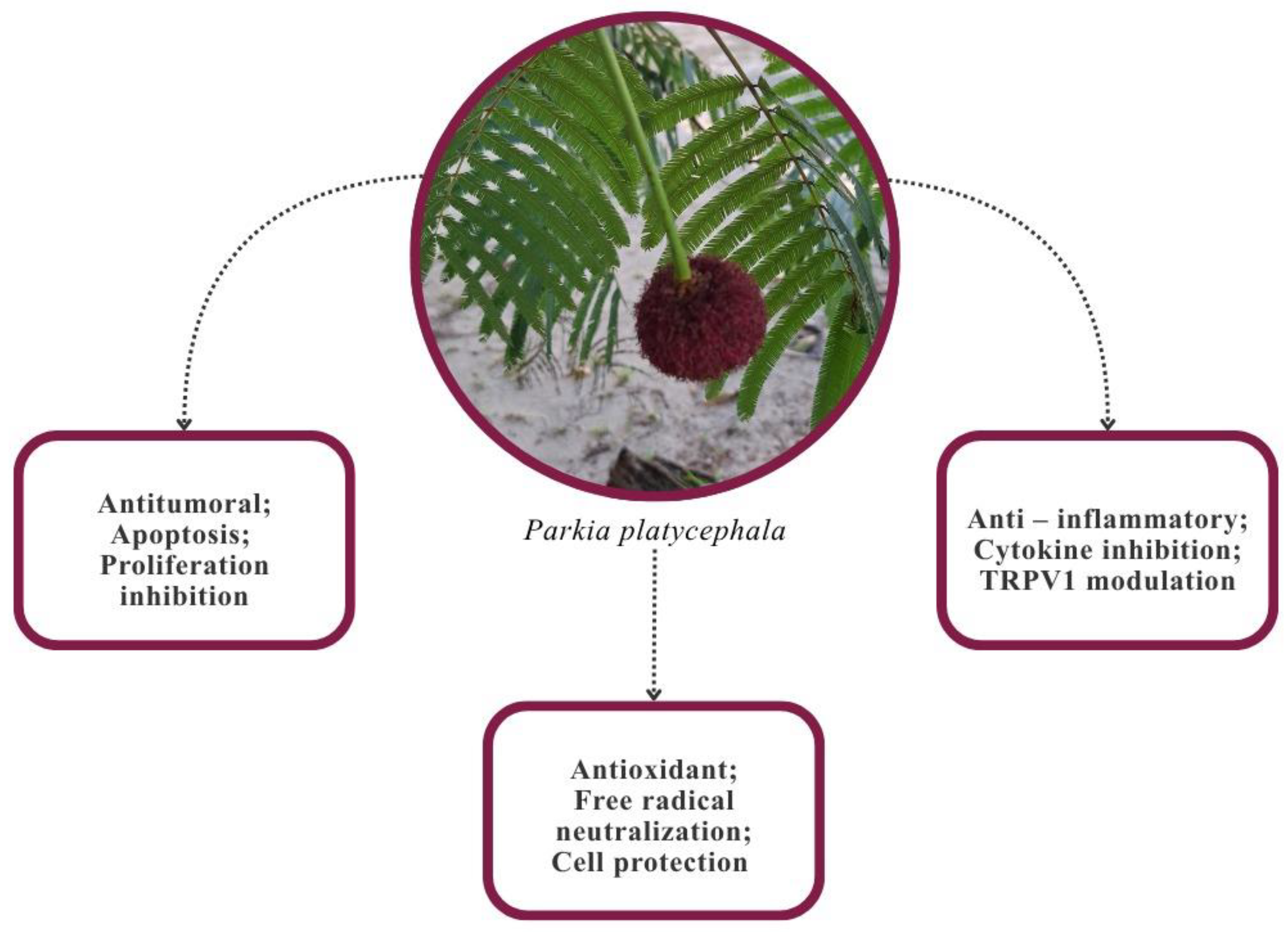 Compounds 05 00047 g001
