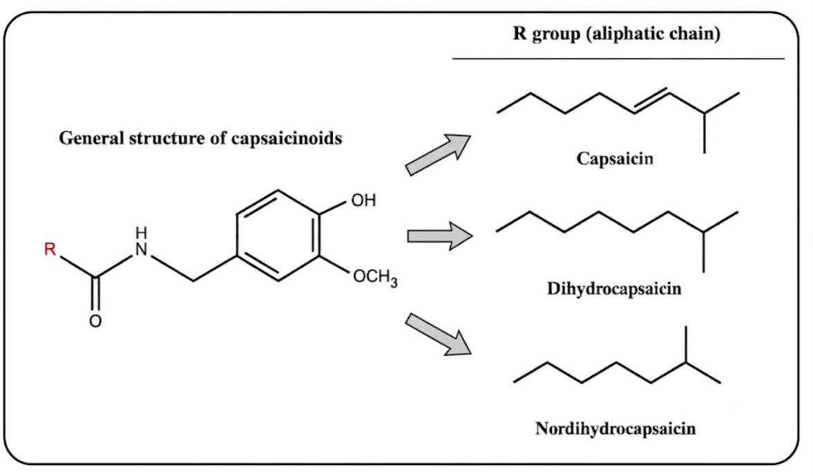 Compounds 06 00050 g001 Compounds 06 00050 g001