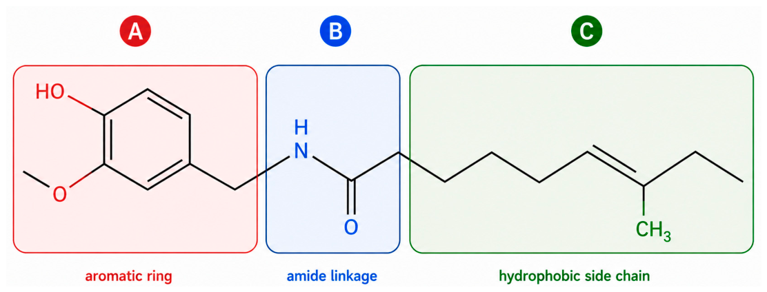 Compounds 06 00050 g002 Compounds 06 00050 g002