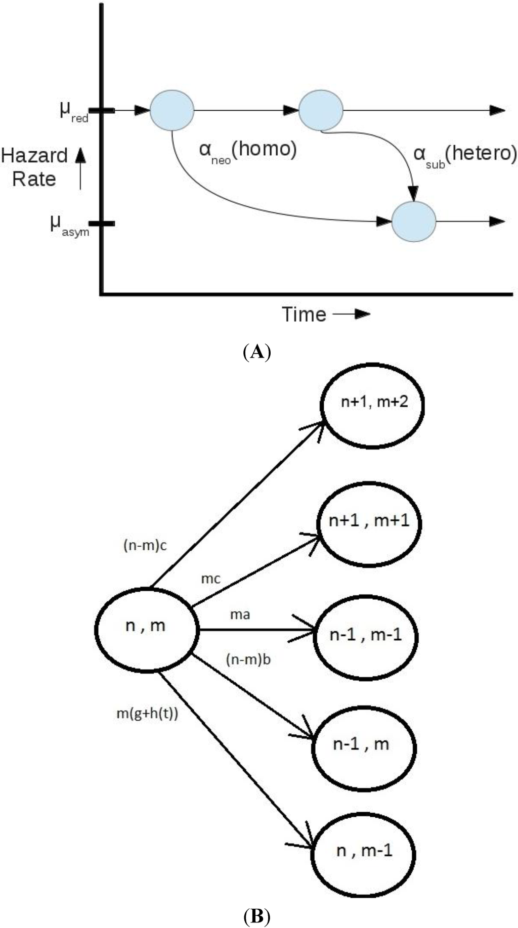 Computation 02 00112 g004 1024