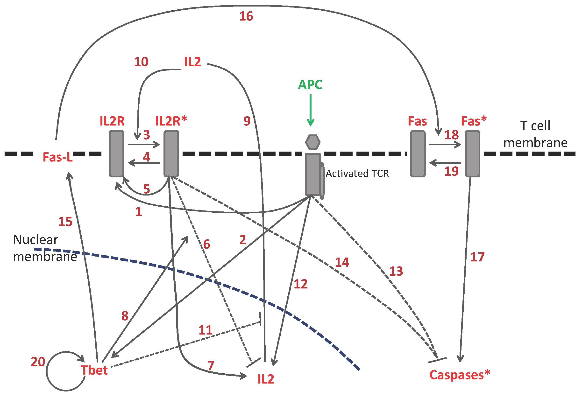 Computation 02 00159 g002