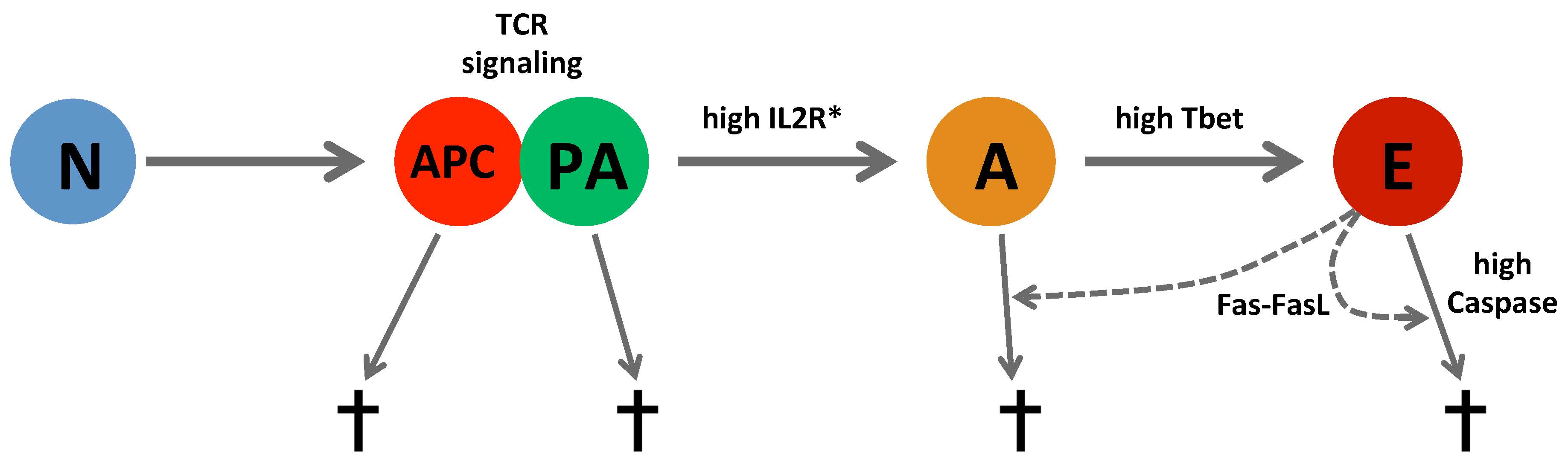 Computation 02 00159 g003