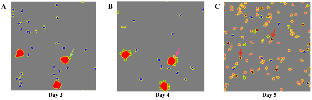 Computation 02 00159 g004 1024