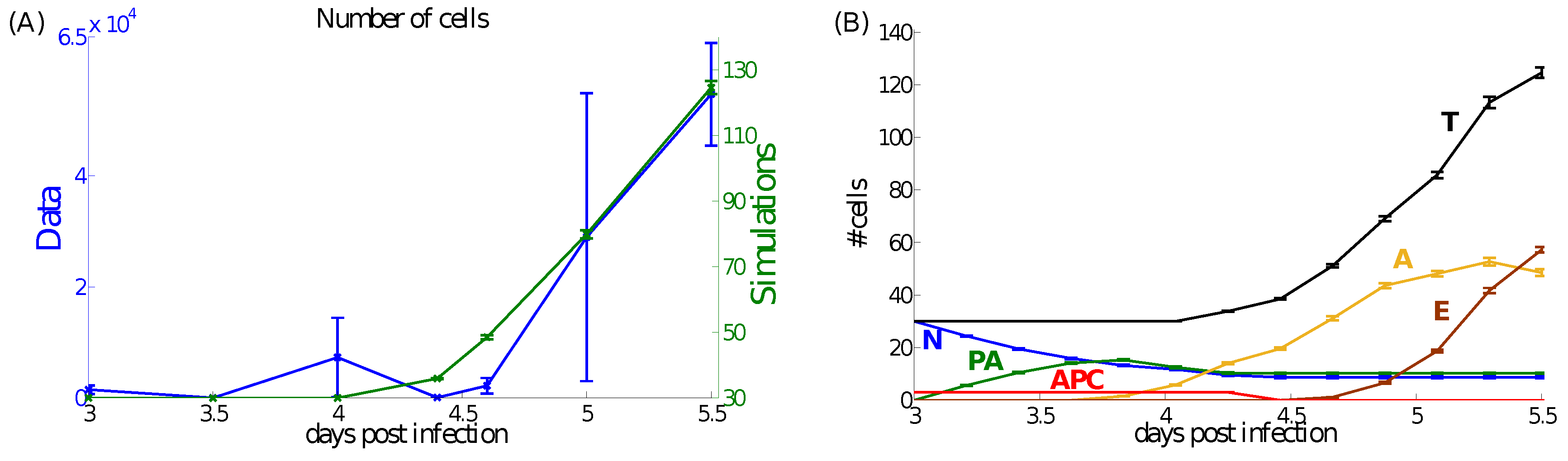 Computation 02 00159 g005