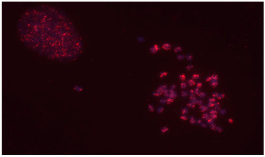 Computation 02 00221 g002 1024