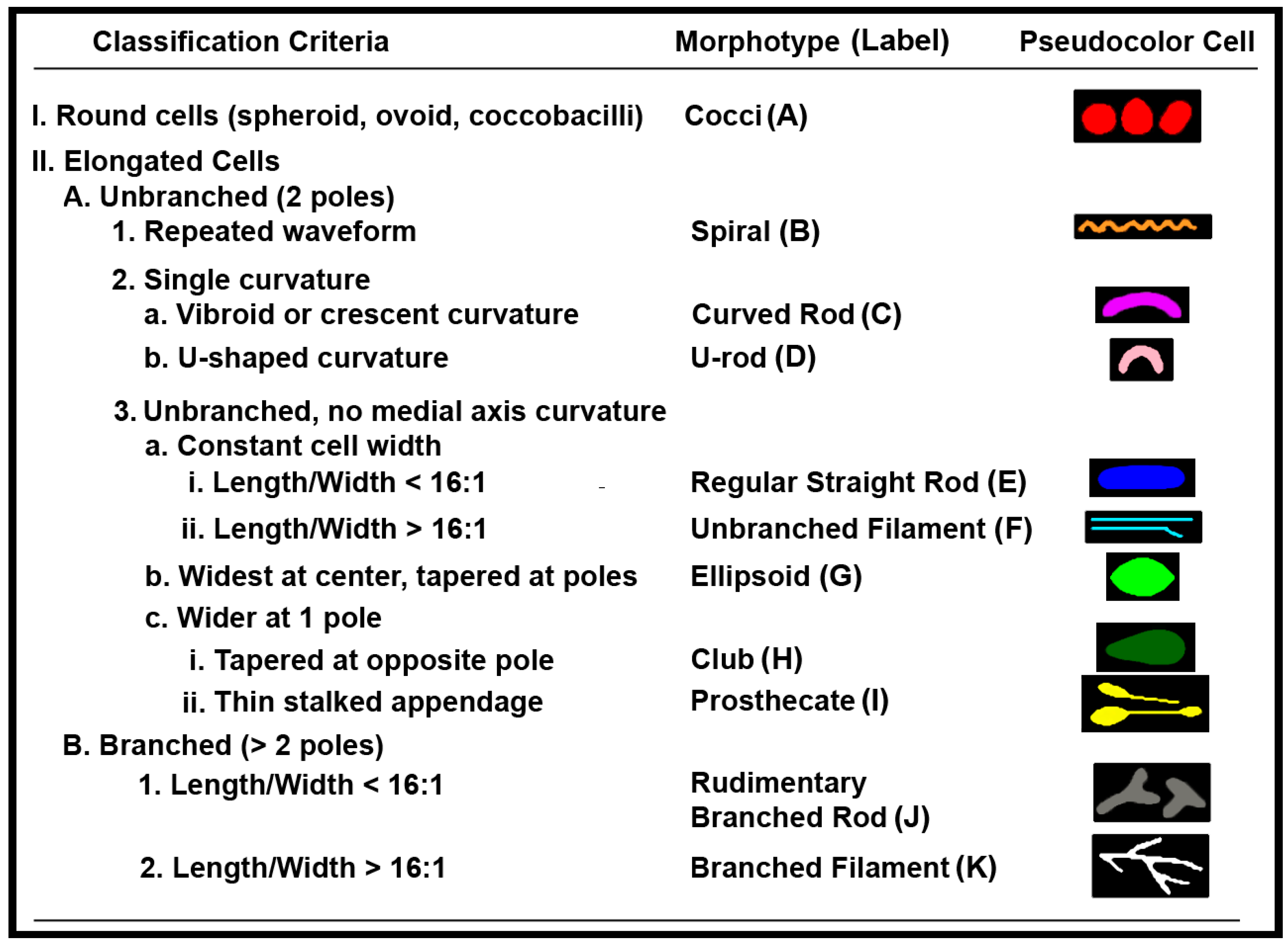 Computation 03 00072 g001
