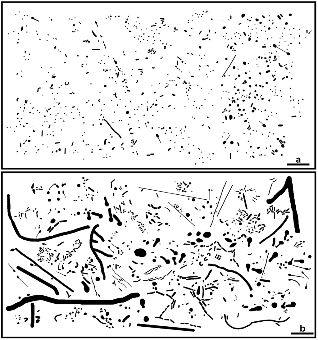 Computation 03 00072 g002 1024