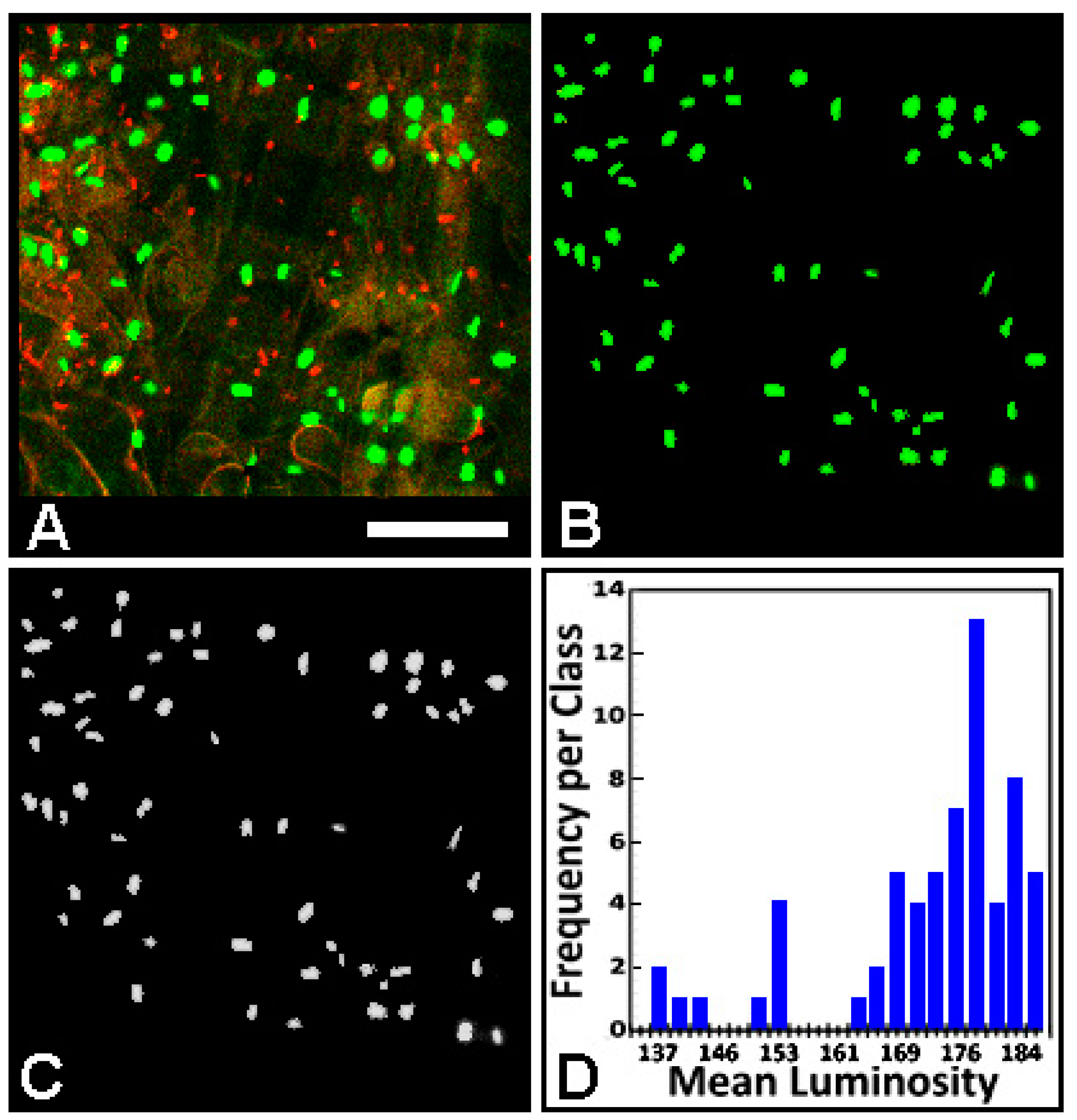 Computation 03 00072 g006