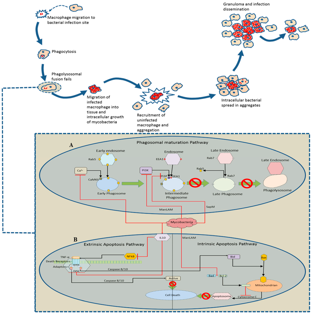 Computation 03 00150 g001 1024
