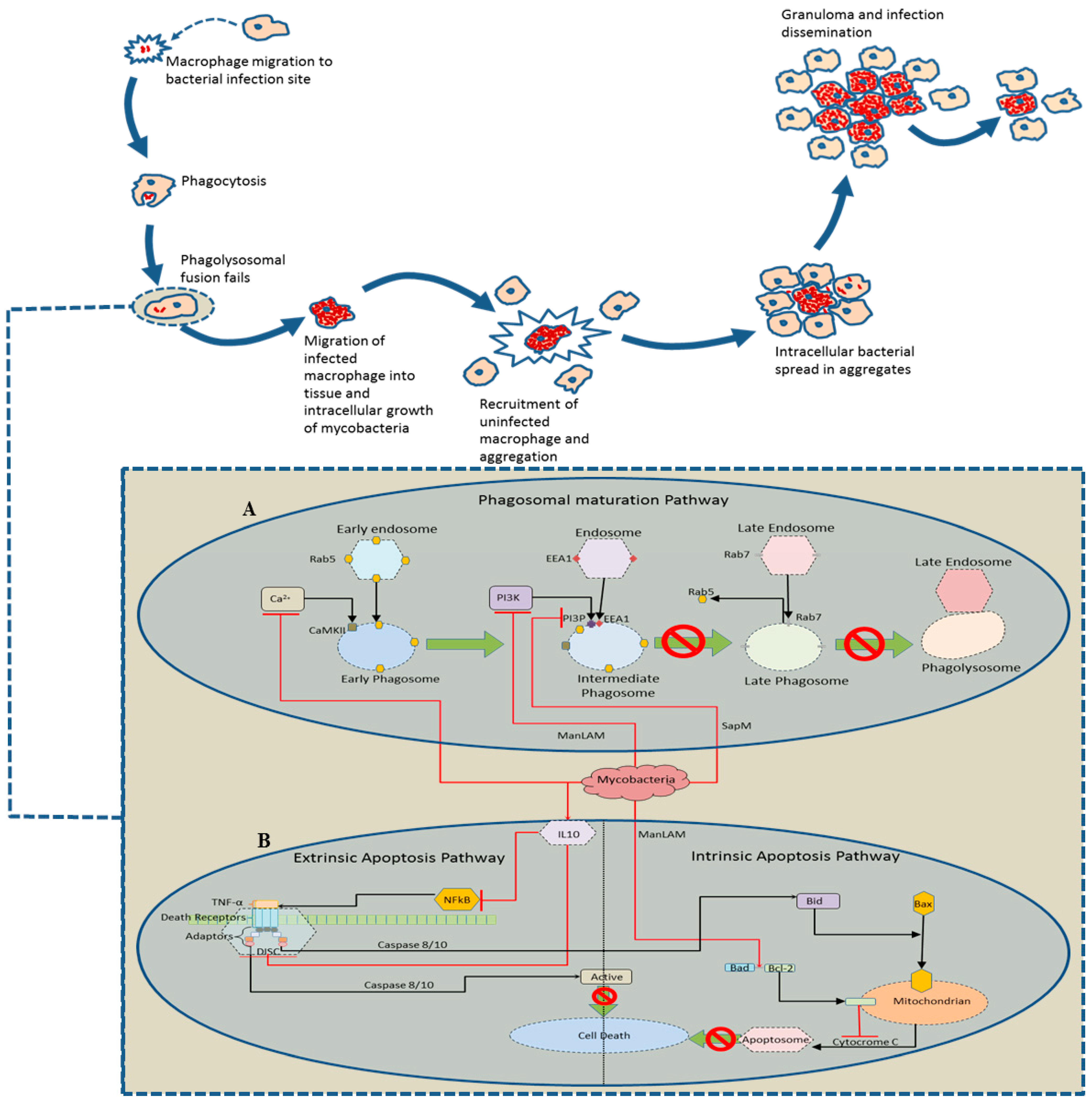 Computation 03 00150 g001