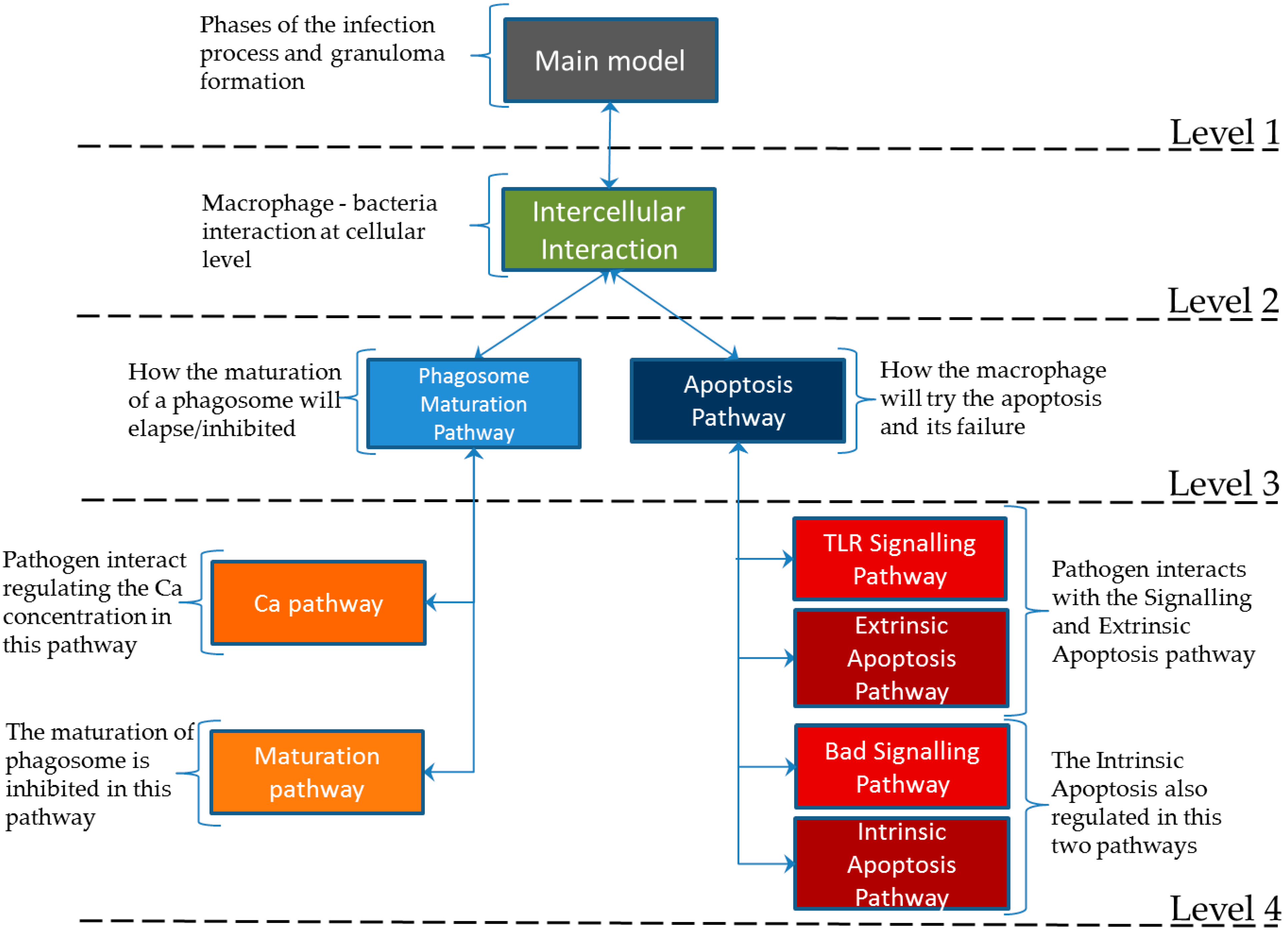 Computation 03 00150 g003
