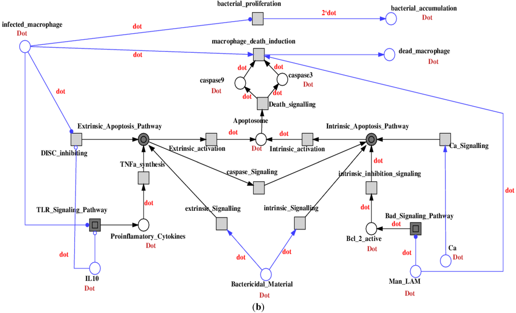 Computation 03 00150 g005b 1024