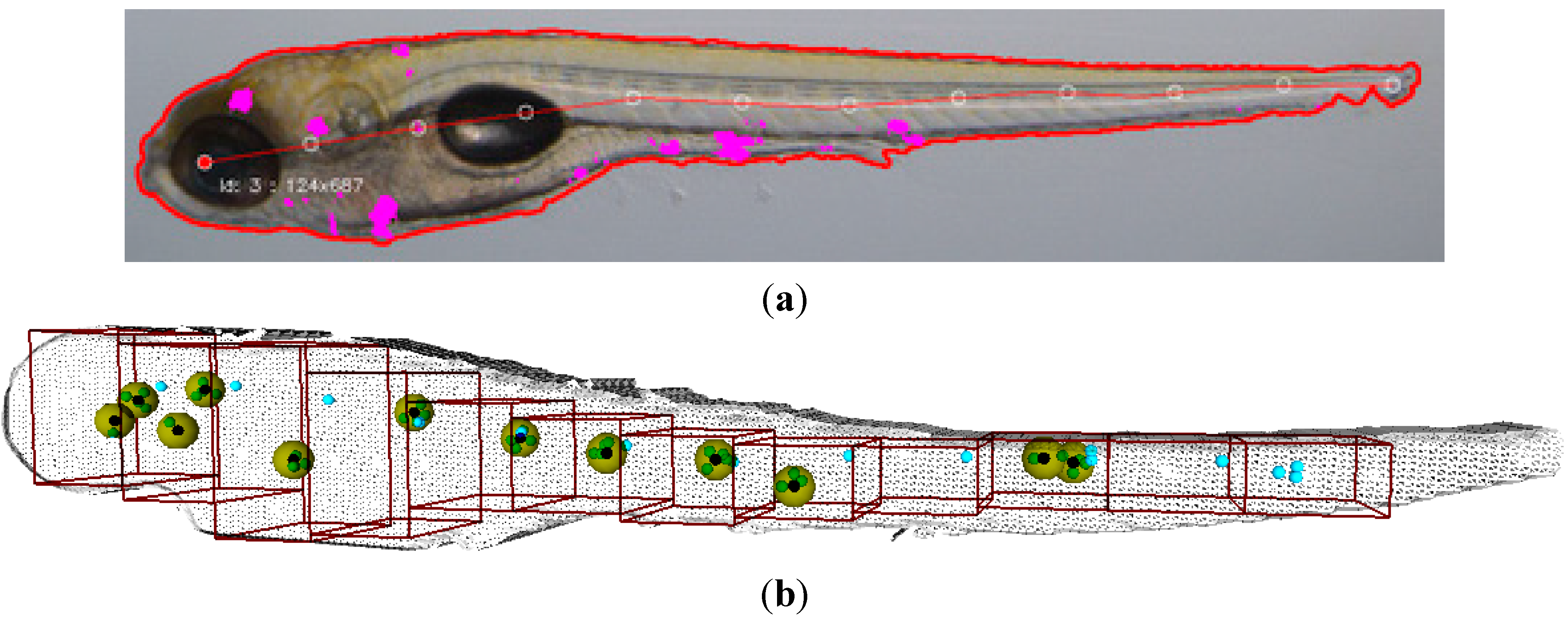 Computation 03 00150 g008