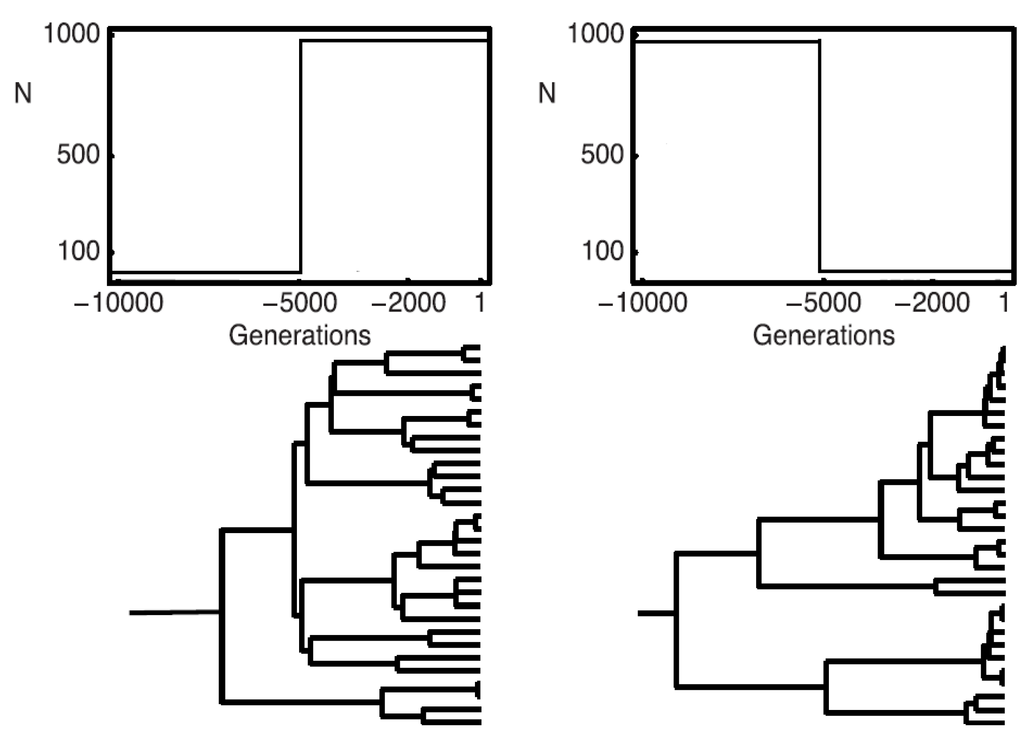 Computation 03 00701 g001 1024