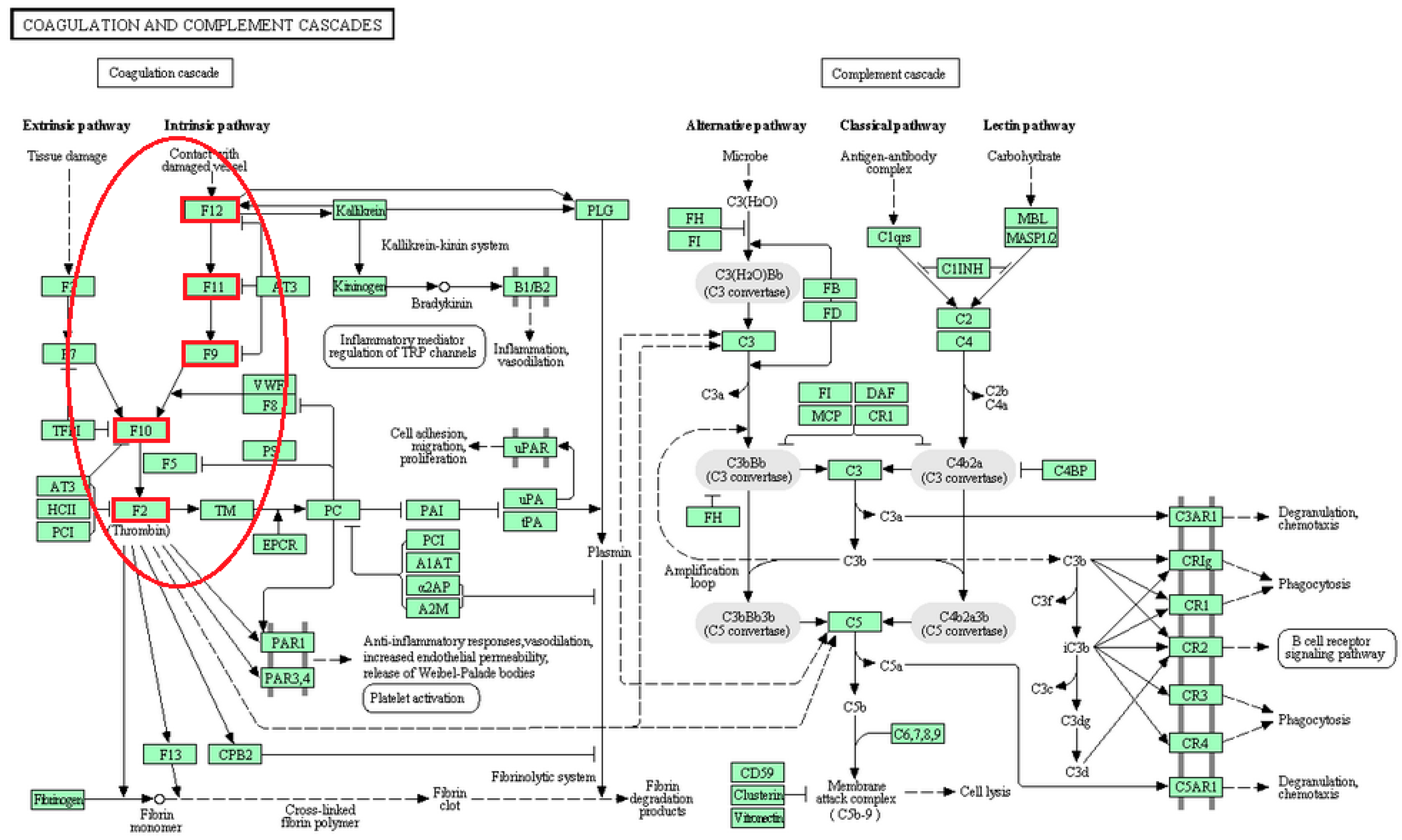 Computation 05 00020 g001