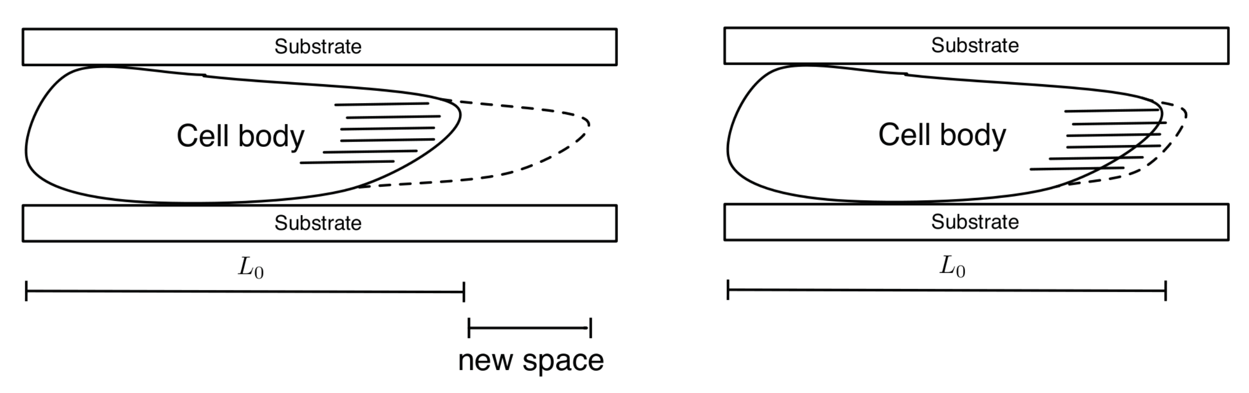 Computation 06 00033 g003