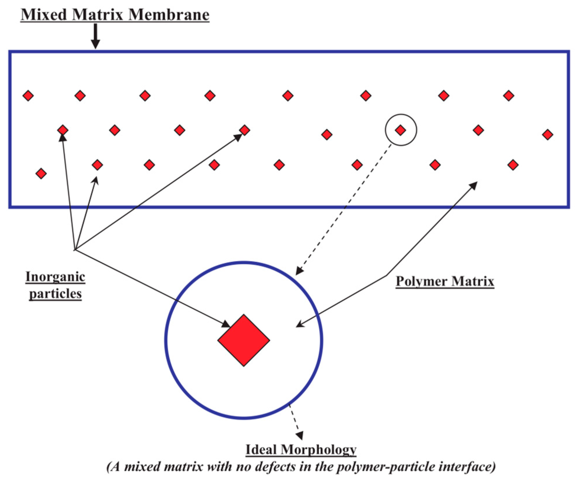 Computation 07 00036 g002