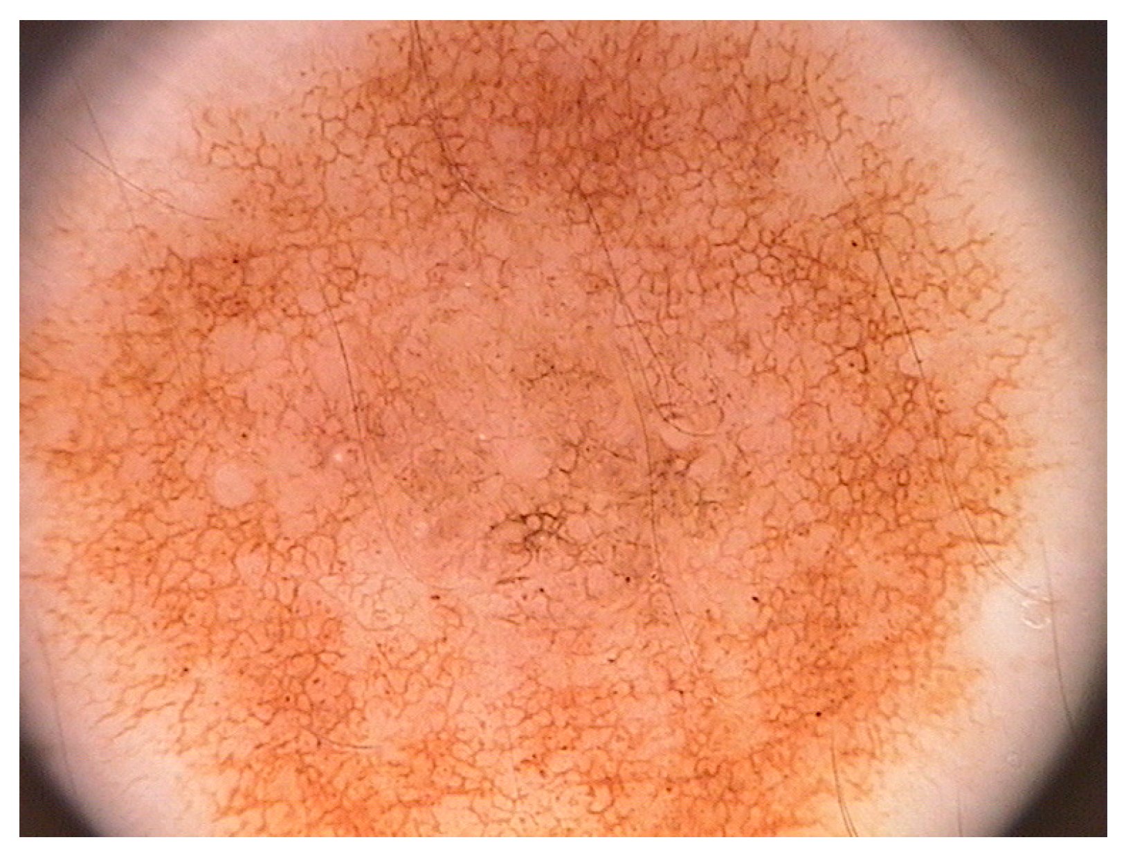 Computation 07 00044 g002