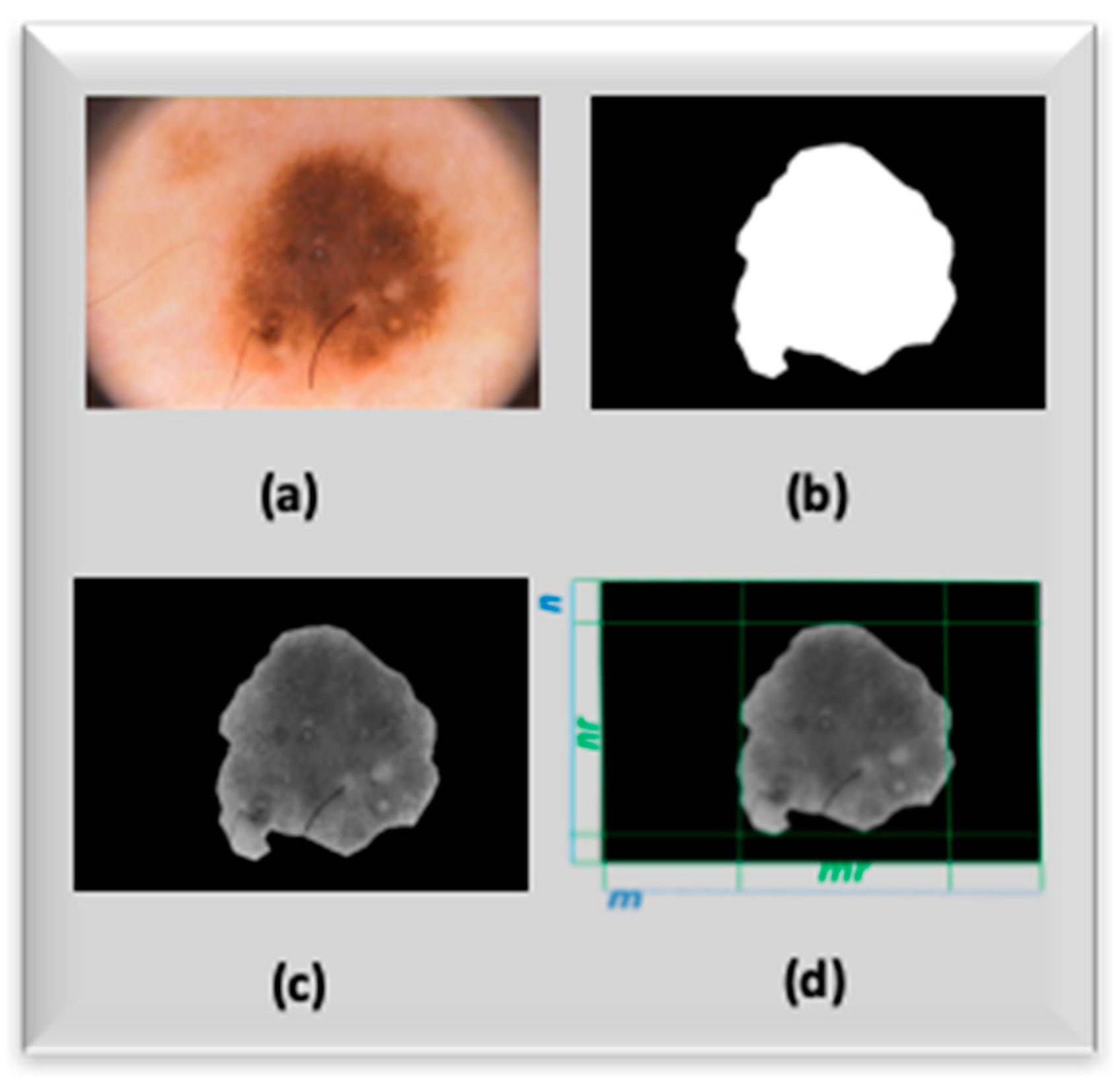 Computation 07 00044 g004