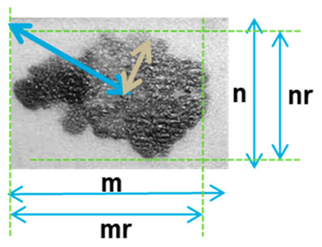 Computation 07 00044 g005