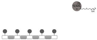 Computation 07 00046 i003 Computation 07 00046 i003