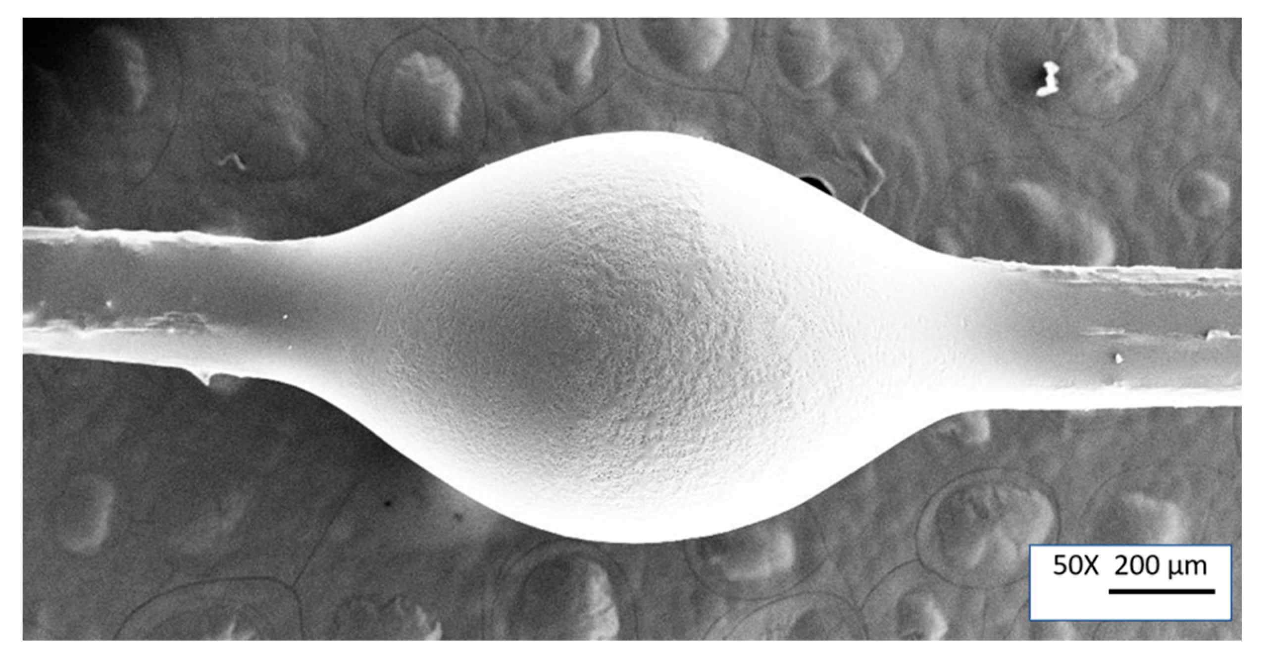 Computation 08 00002 g001