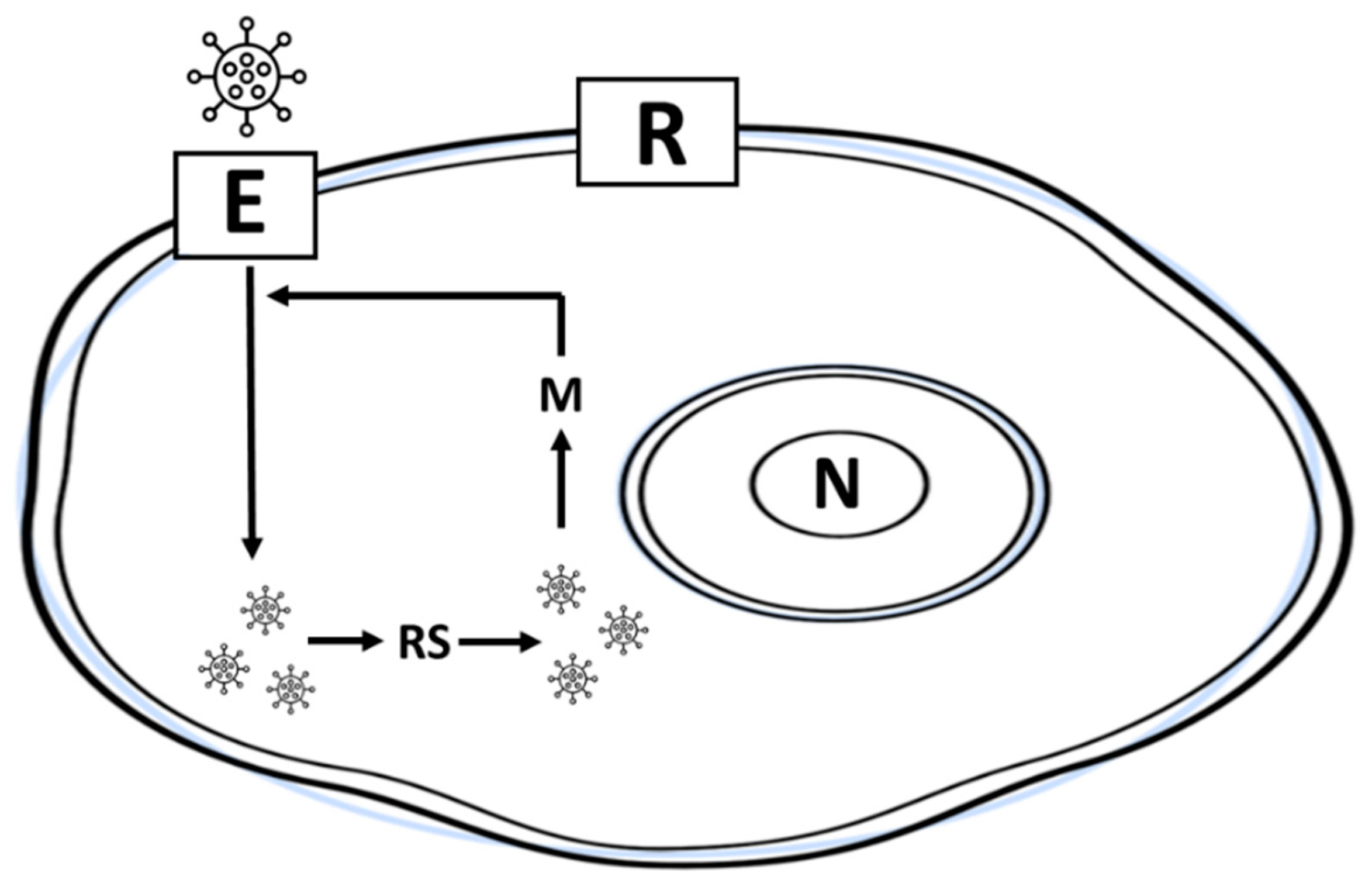 Computation 08 00005 g002 Computation 08 00005 g002