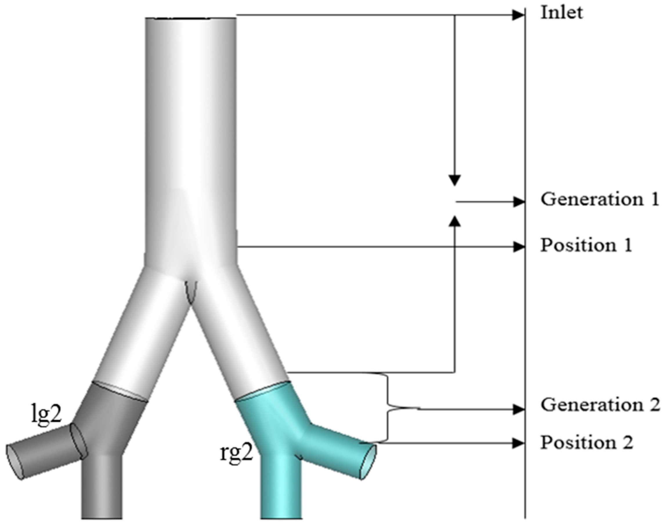 Computation 08 00010 g005