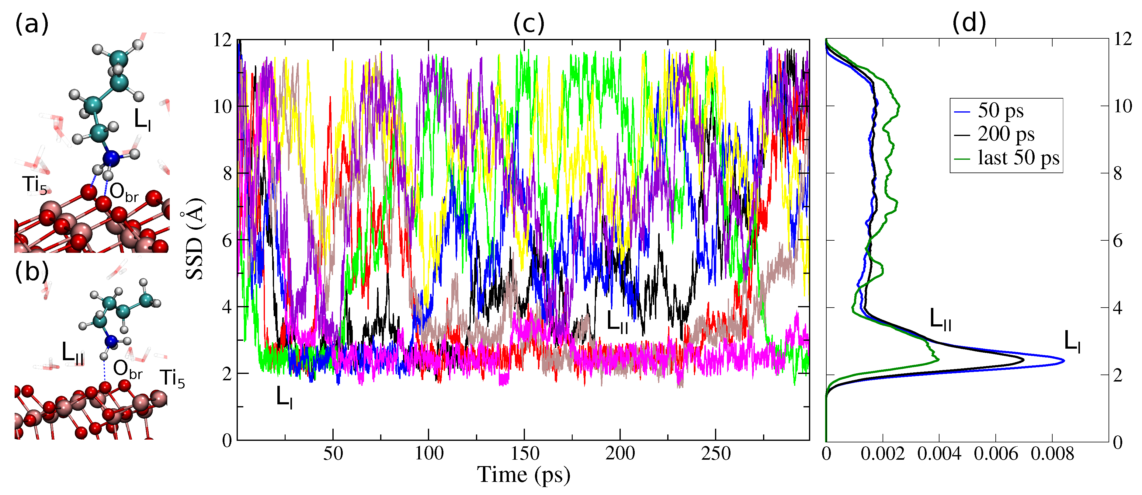 Computation 08 00012 g002