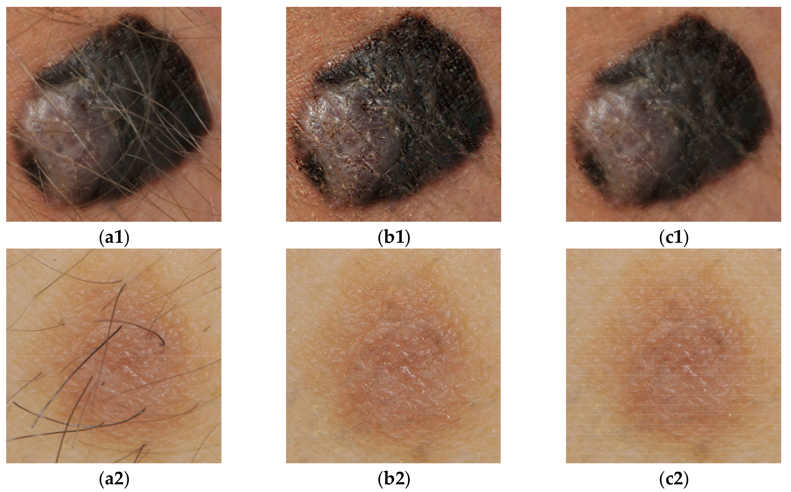 Computation 08 00041 g001 Computation 08 00041 g001