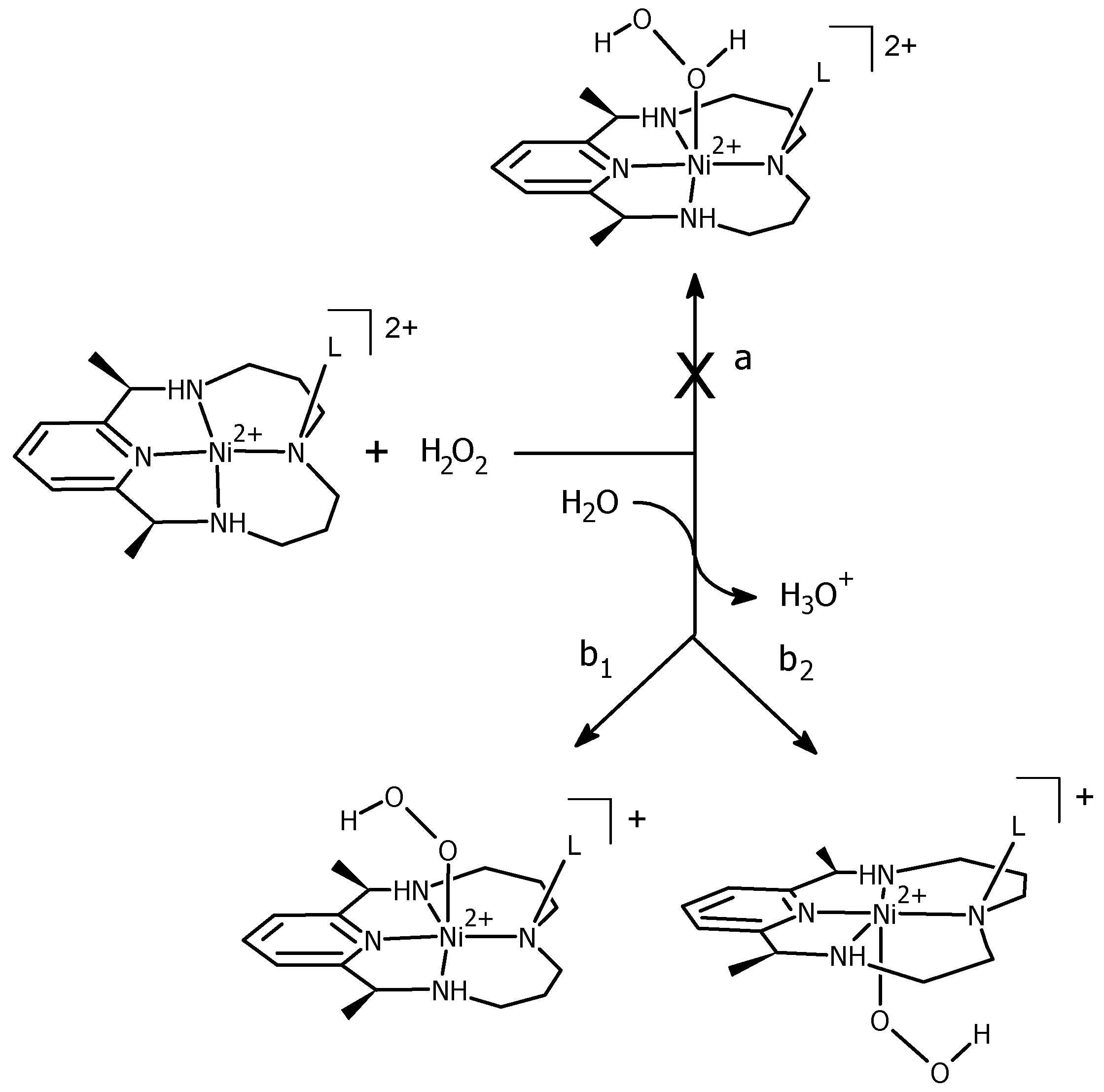 Computation 08 00052 sch003