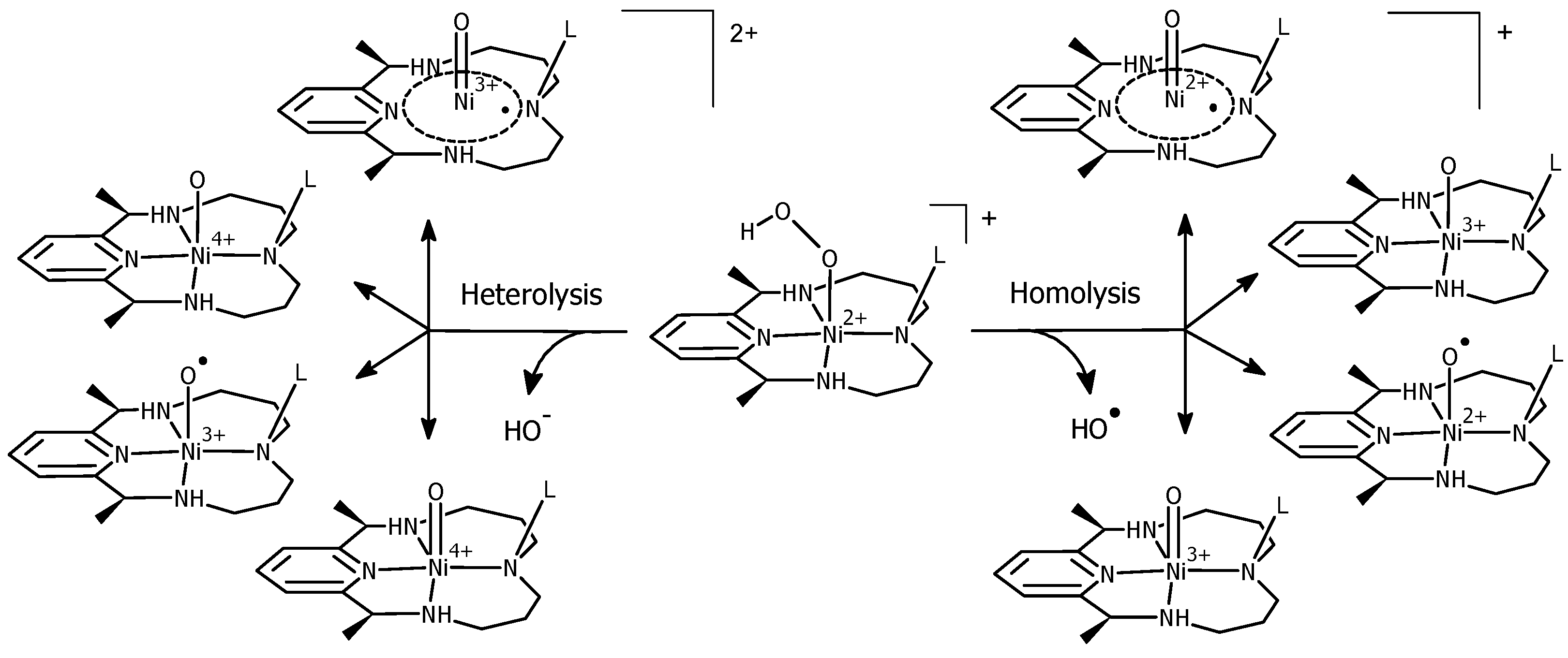 Computation 08 00052 sch005