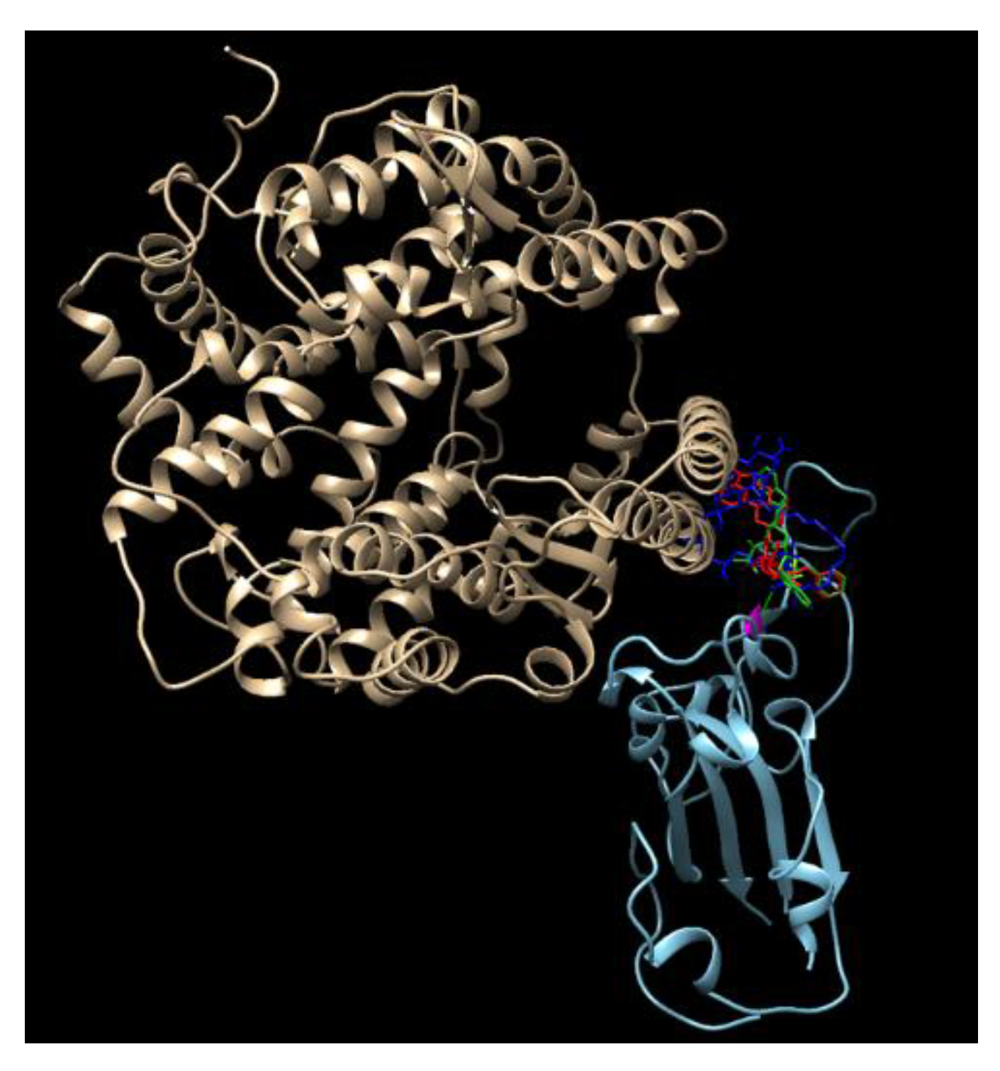 Computation 08 00053 g004