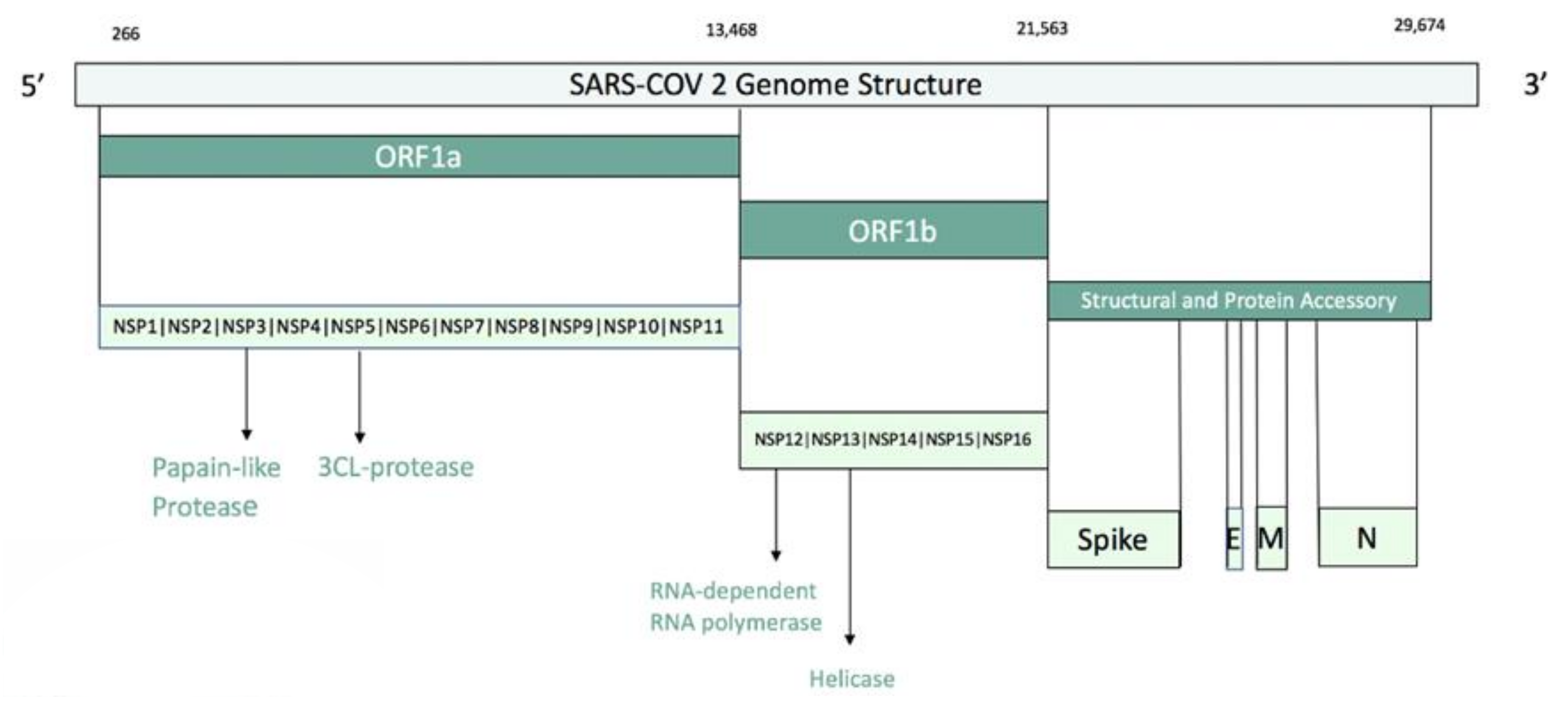 Computation 08 00077 g001