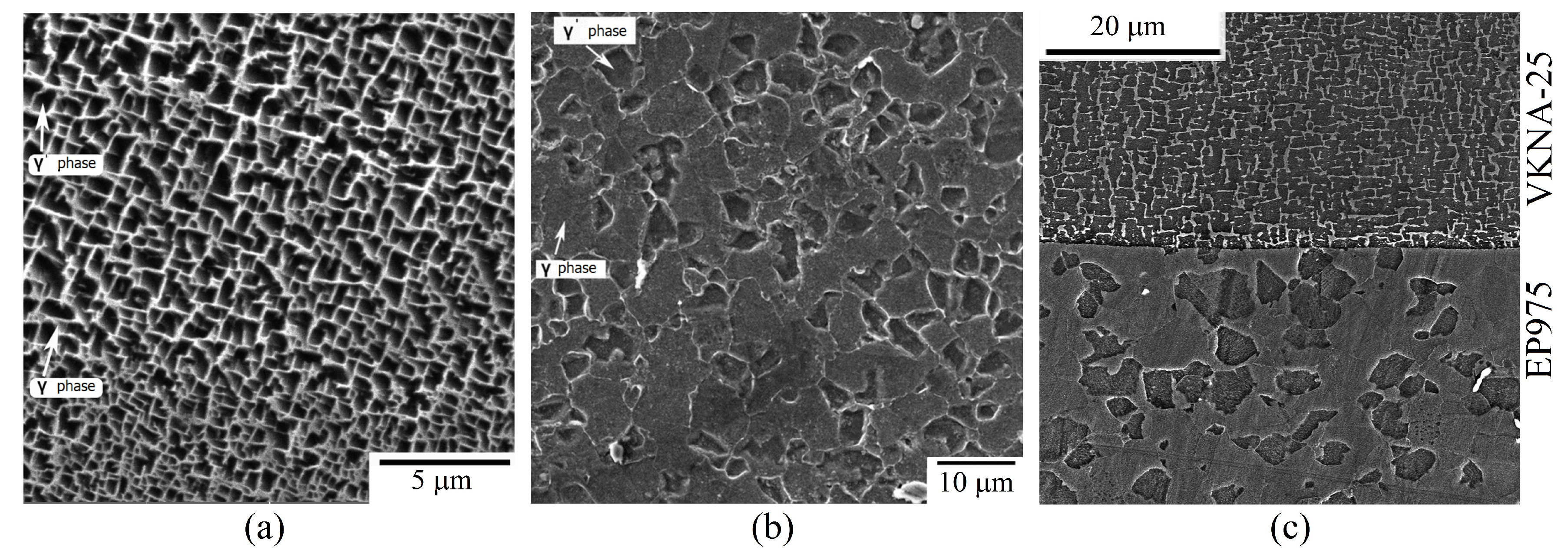 Computation 08 00102 g001