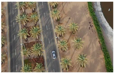 Computation 09 00012 i003