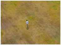 Computation 09 00012 i004