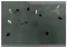 Computation 09 00012 i029