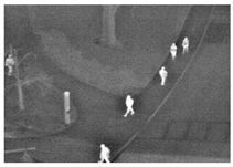 Computation 09 00012 i032