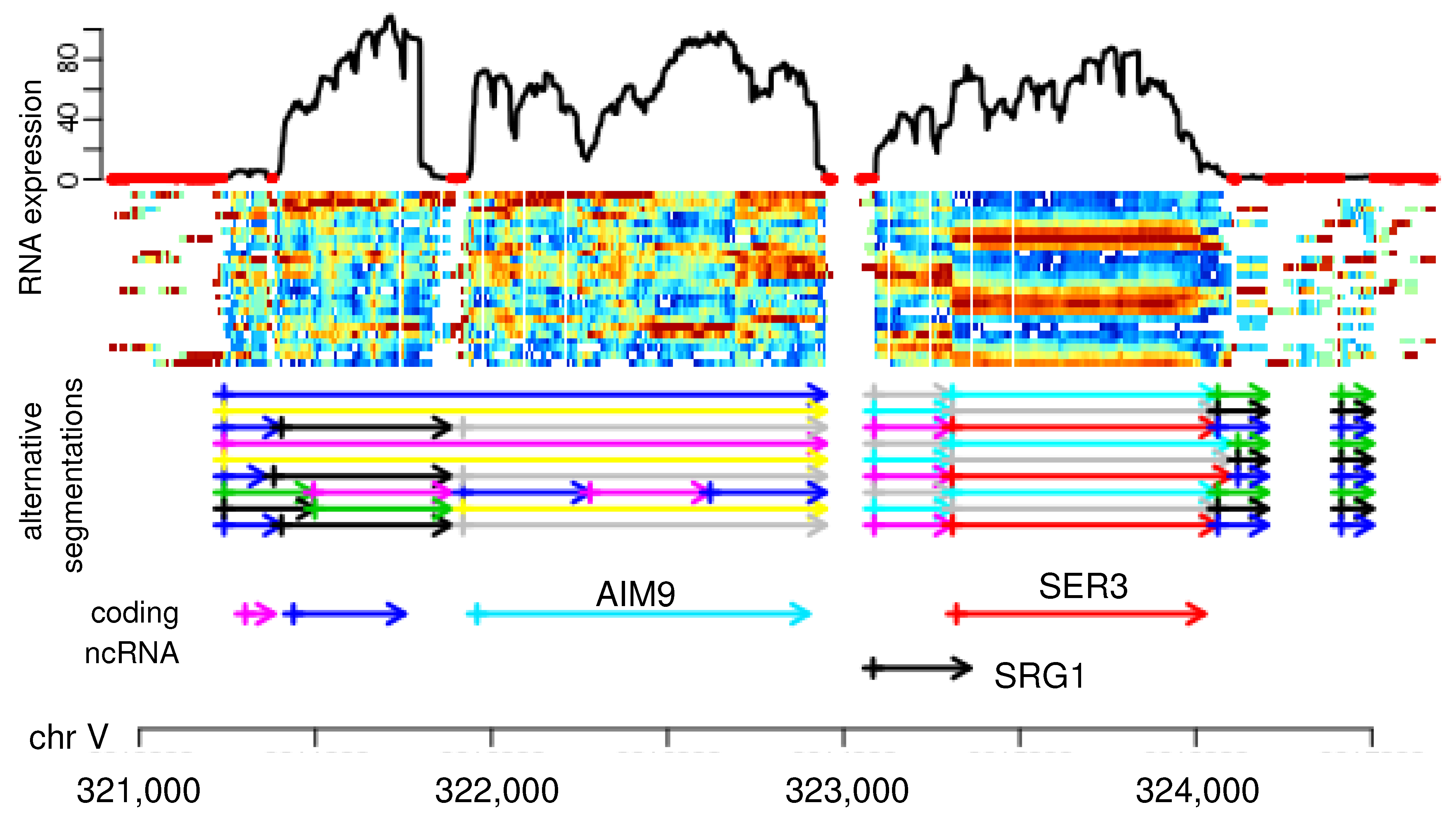 Computation 09 00017 g001