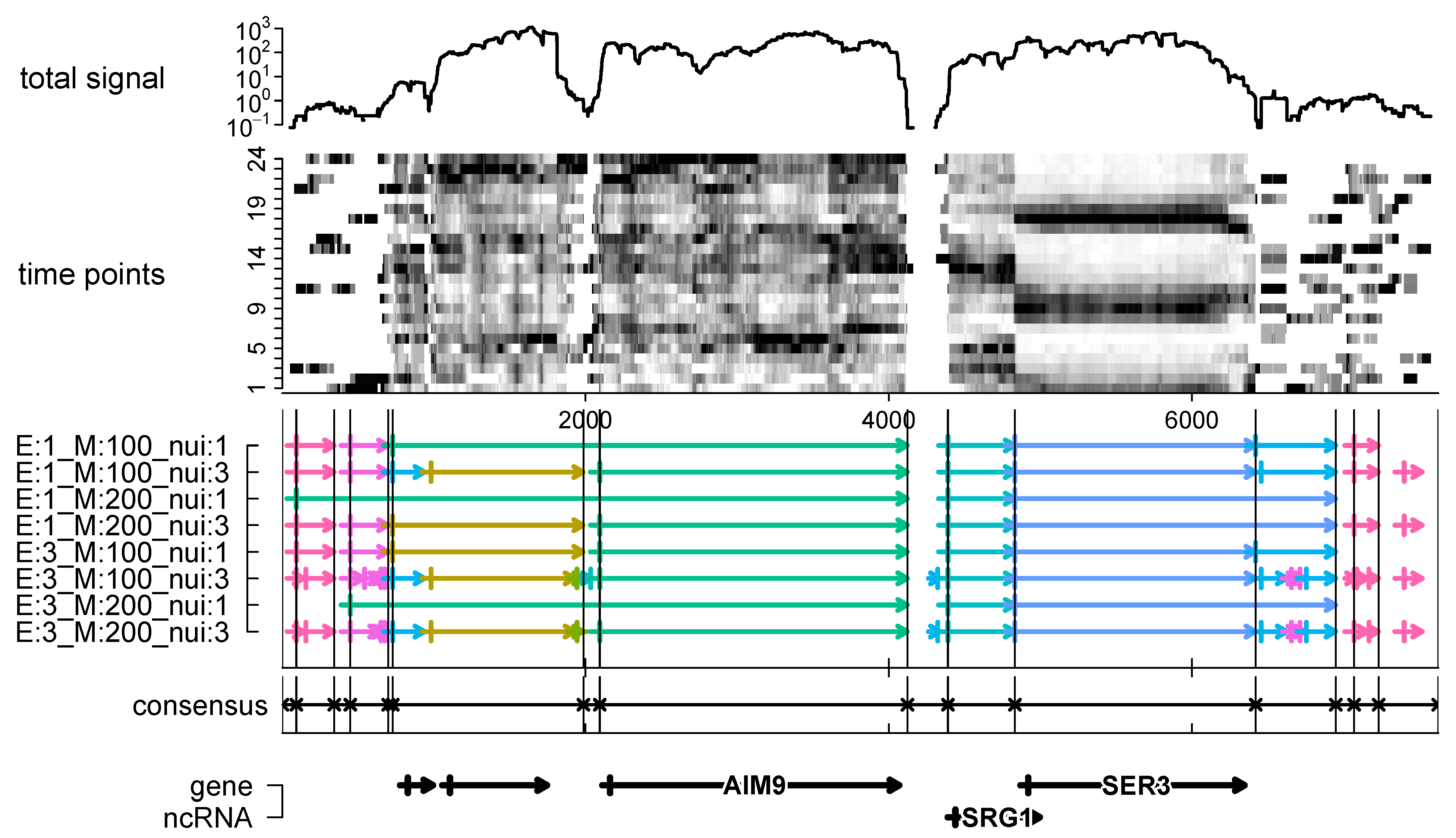 Computation 09 00017 g003