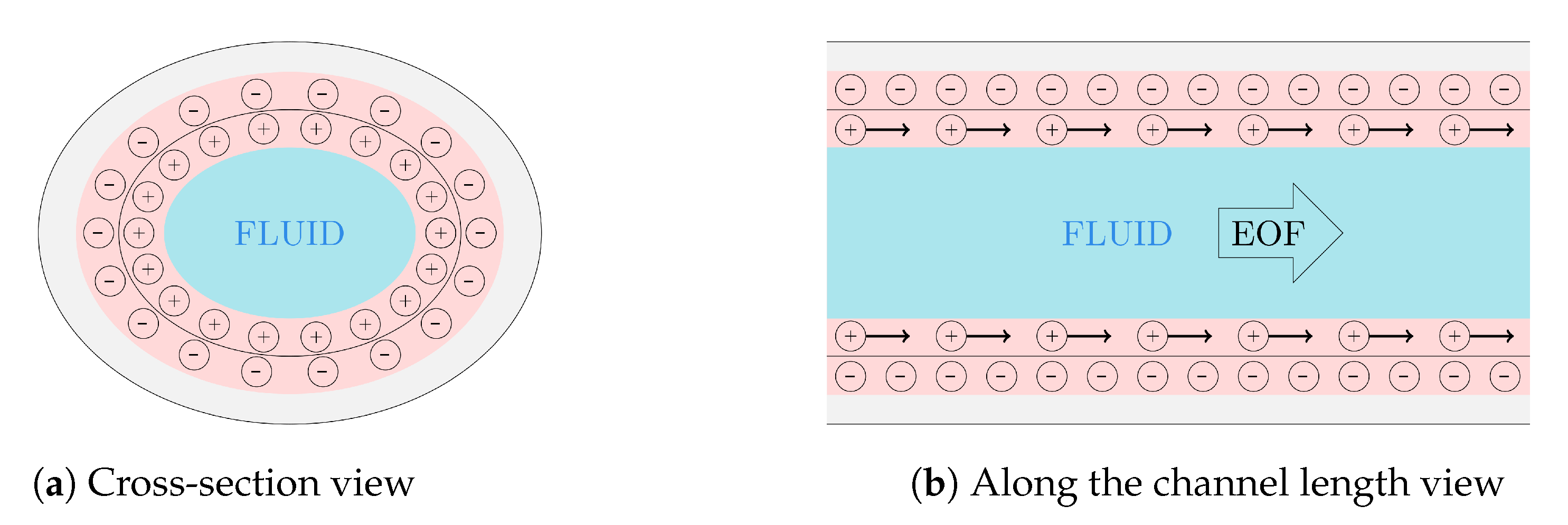 Computation 09 00027 g001