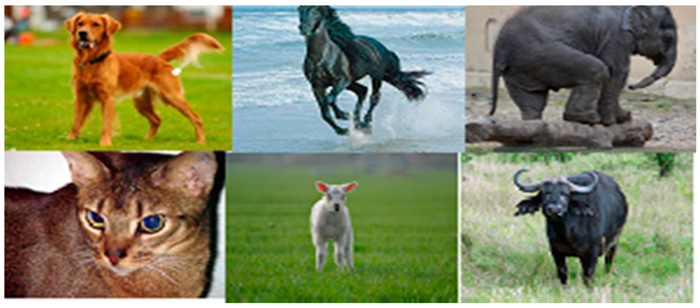 Computation 09 00035 g004 Computation 09 00035 g004