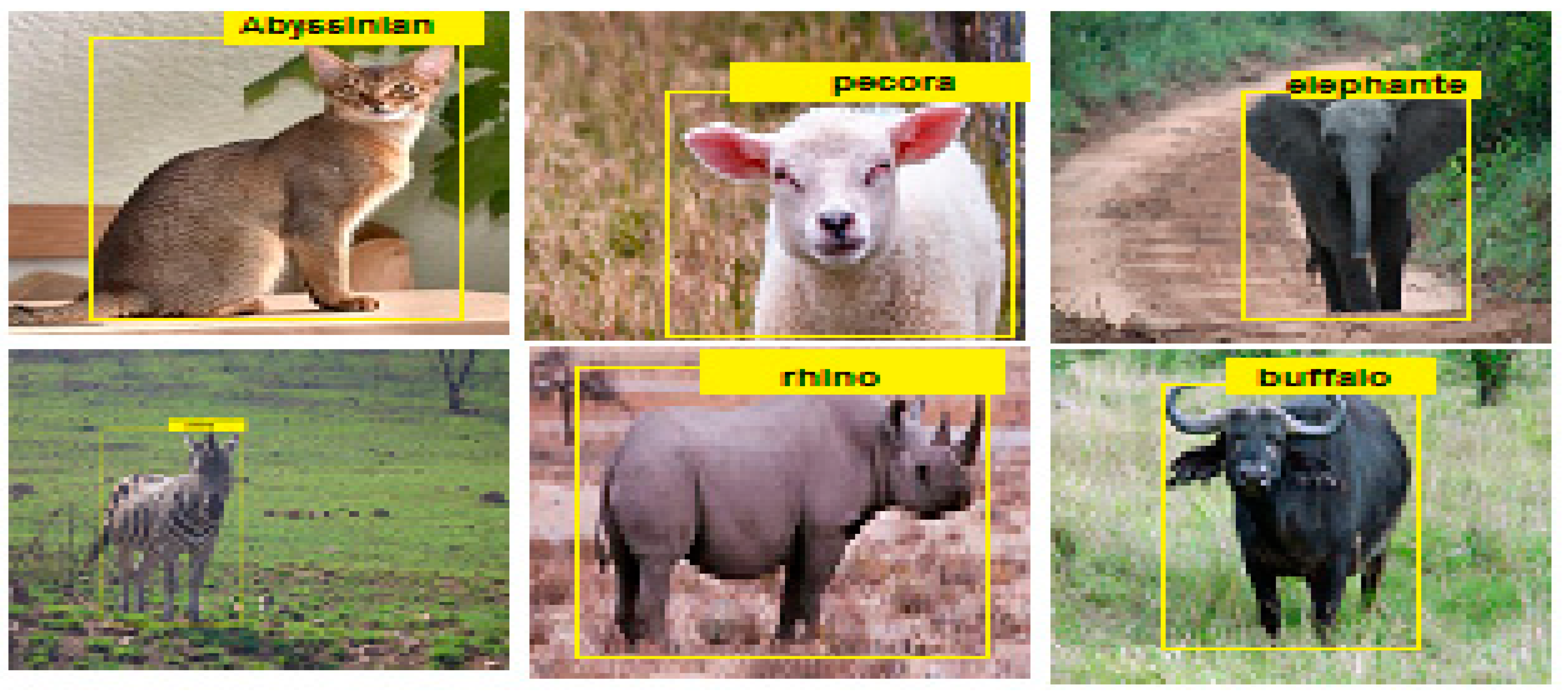 Computation 09 00035 g013 Computation 09 00035 g013