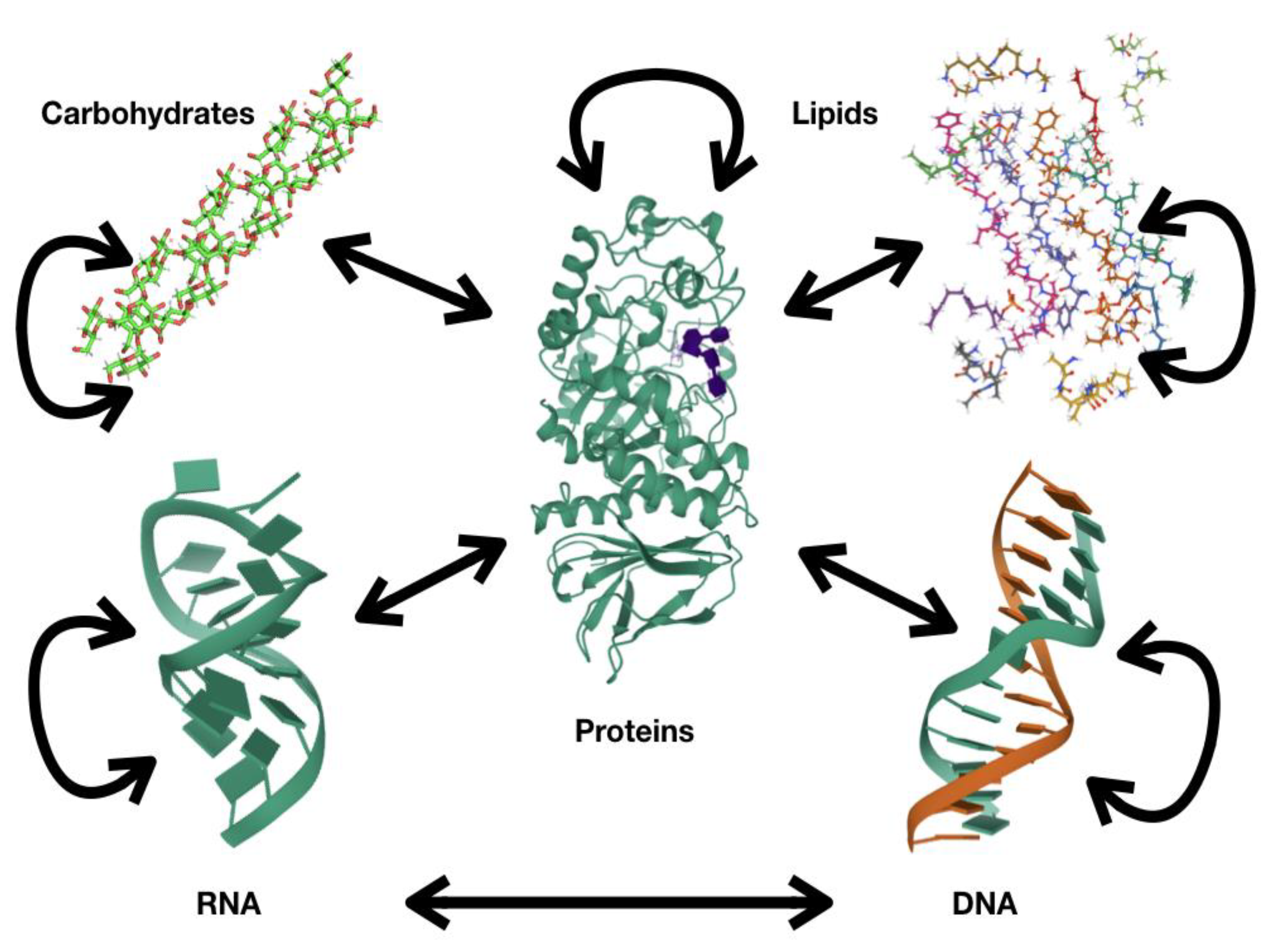 Computation 09 00039 g001